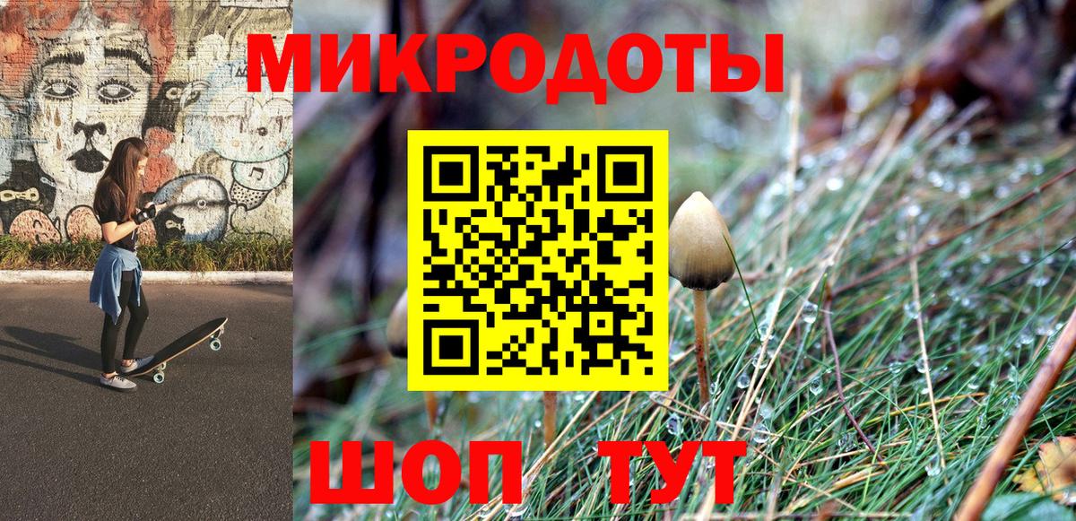 Галлюциногенные грибы MAGIC MUSHROOMS  Галлюциногенные грибы Cubensis  купить наркоту  Каменск-Шахтинский  Вход с VPN 