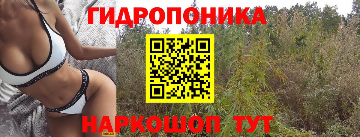 Марихуана  Alpha-PVP СОЛЬ   Магазины продажи наркотиков  ТГК  Гашиш  Вход с VPN  Каменск-Шахтинский  Меф МЯУ МЯУ кристаллы  Кокаин 